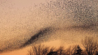 Entropy Production in Non-Equilibrium Neural Networks featured image